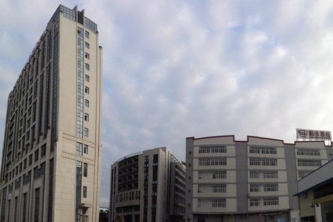 顺成股份